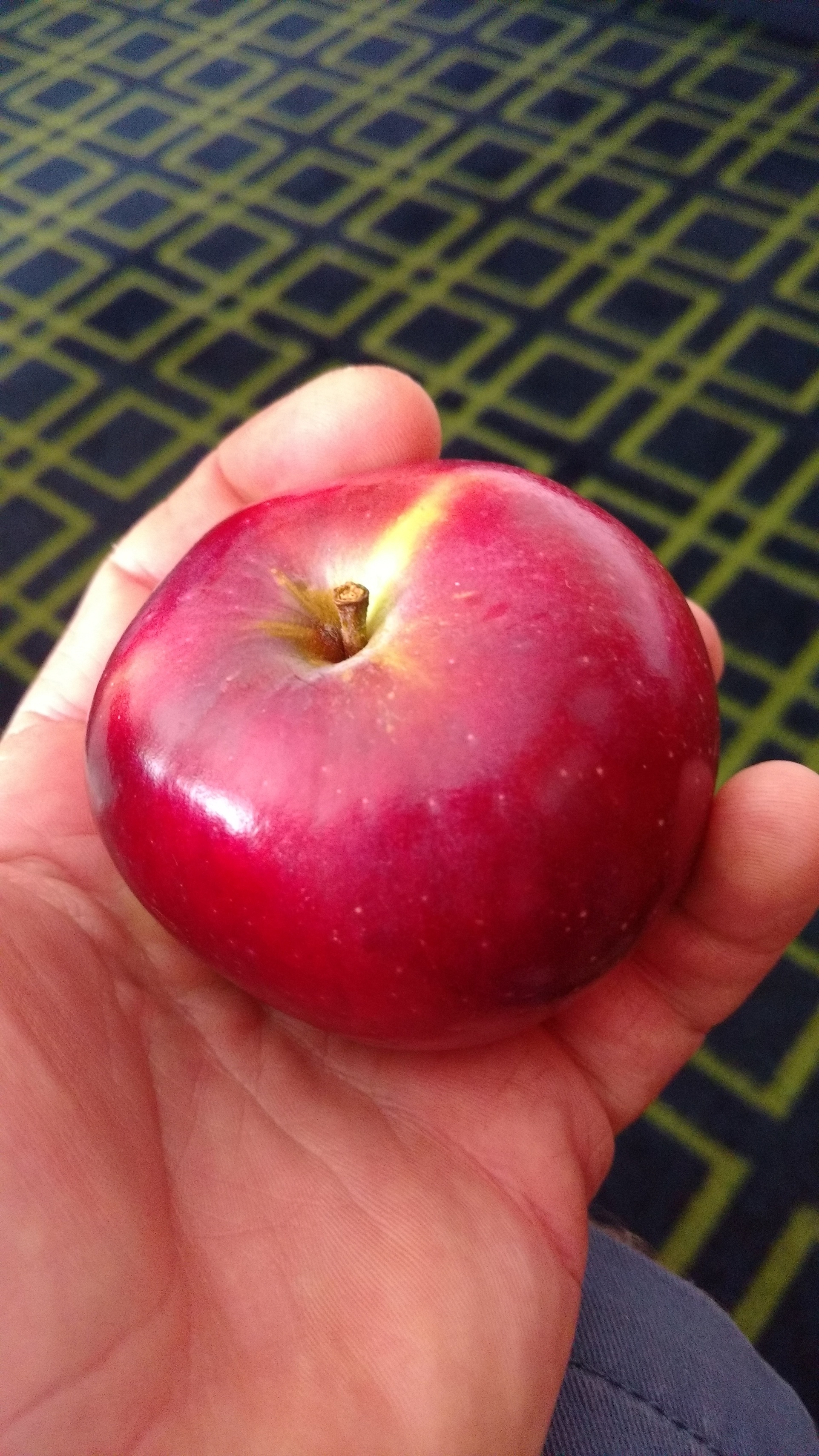 Help picking Liberty apples General Fruit Growing Growing Fruit