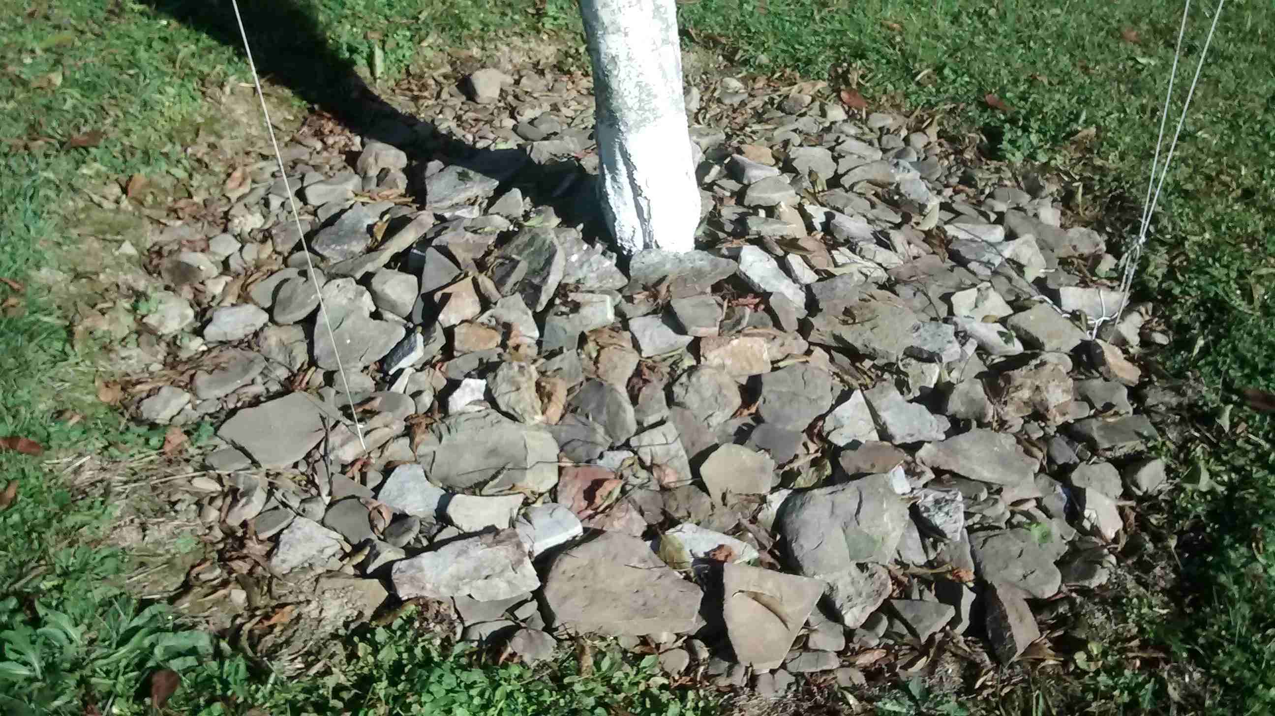 Using Rock As Mulch General Fruit, Is It Okay To Put Rocks Around Trees